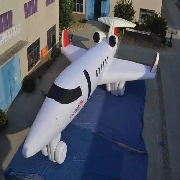 河北充气模型飞机